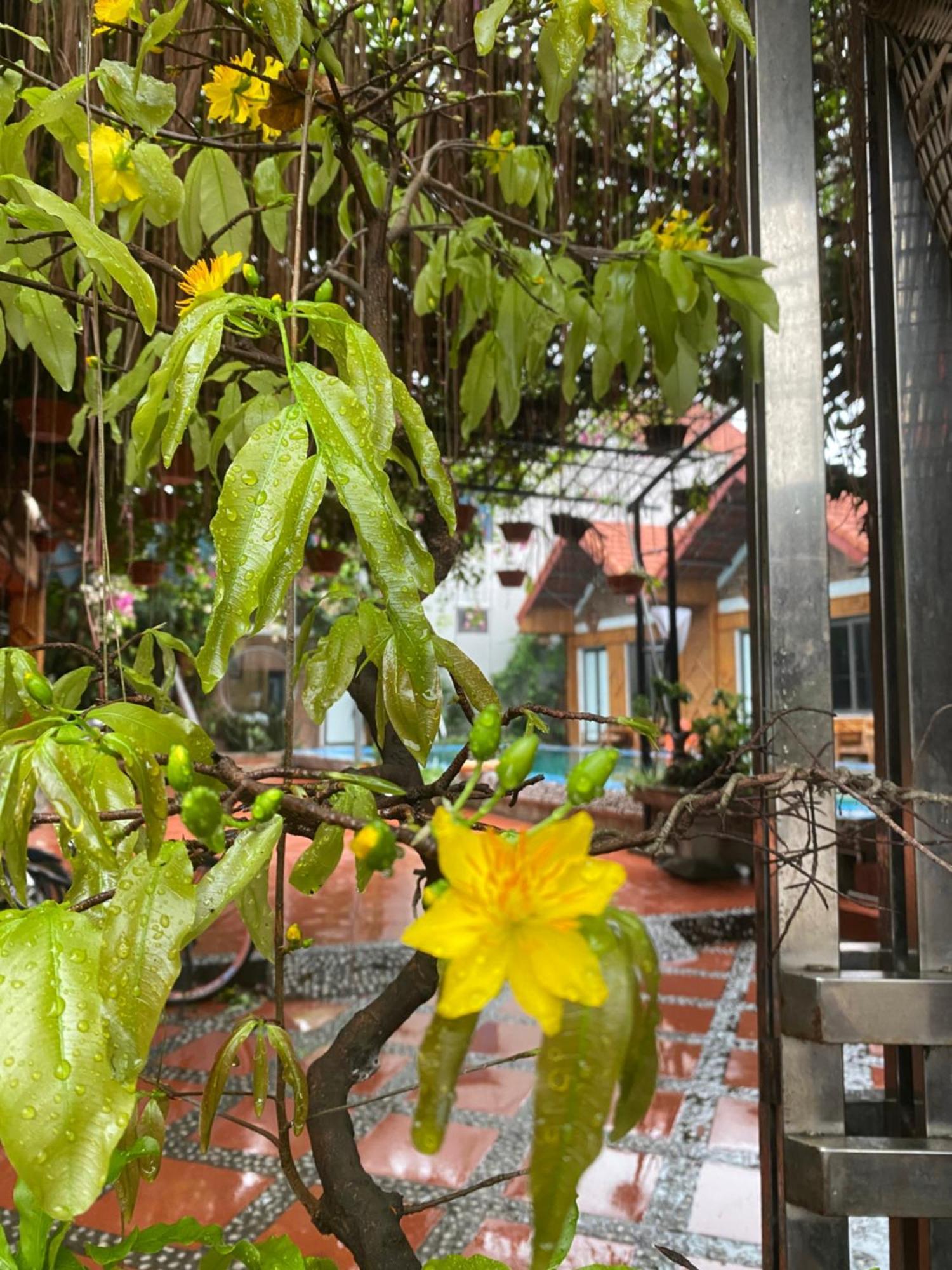Tam Coc Charming Bungalow Ninh Binh Exterior foto